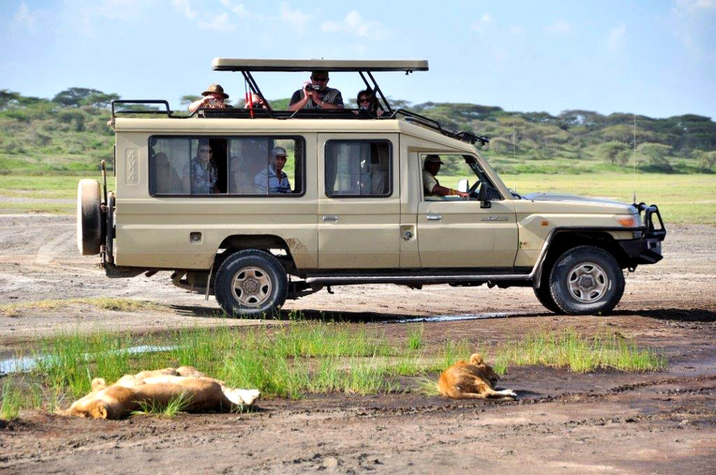 Safari Land Cruiser​